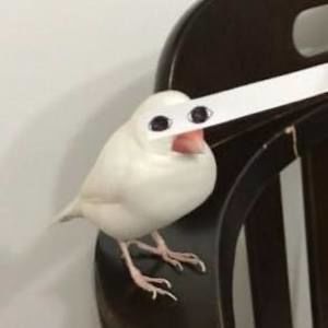 Meet your Posher, Uyên nhi